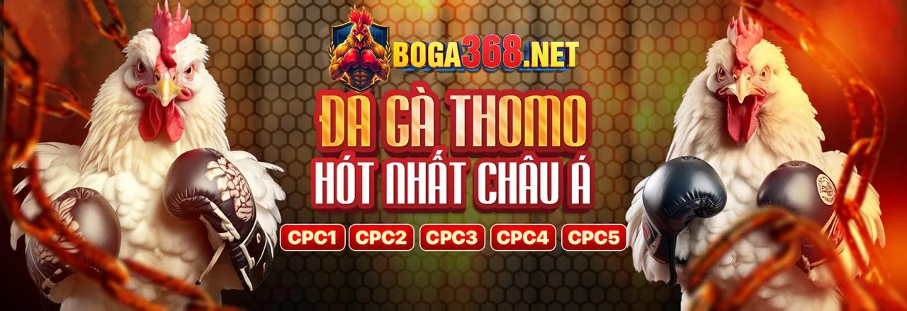 Đá Gà Trực Tuyến s26bet nổ hũ