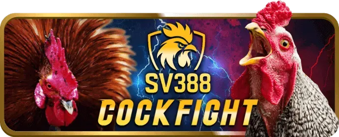 Cá cược bóng đá sôi động tại s26bet nổ hũ