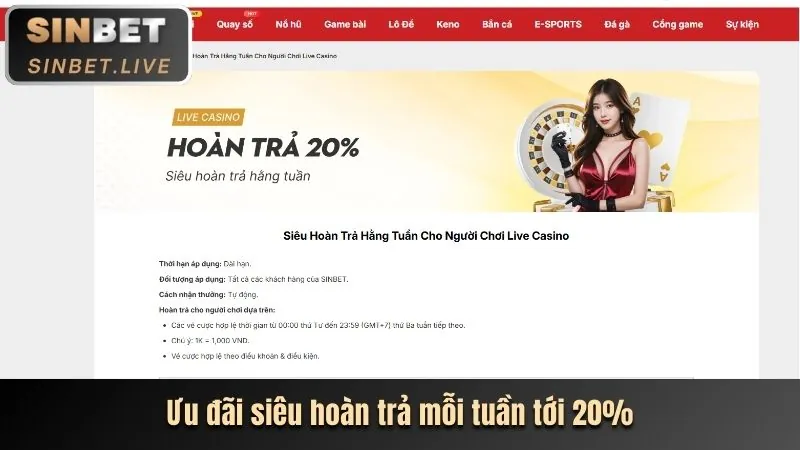 Cập nhật khuyến mãi và ưu đãi độc quyền
